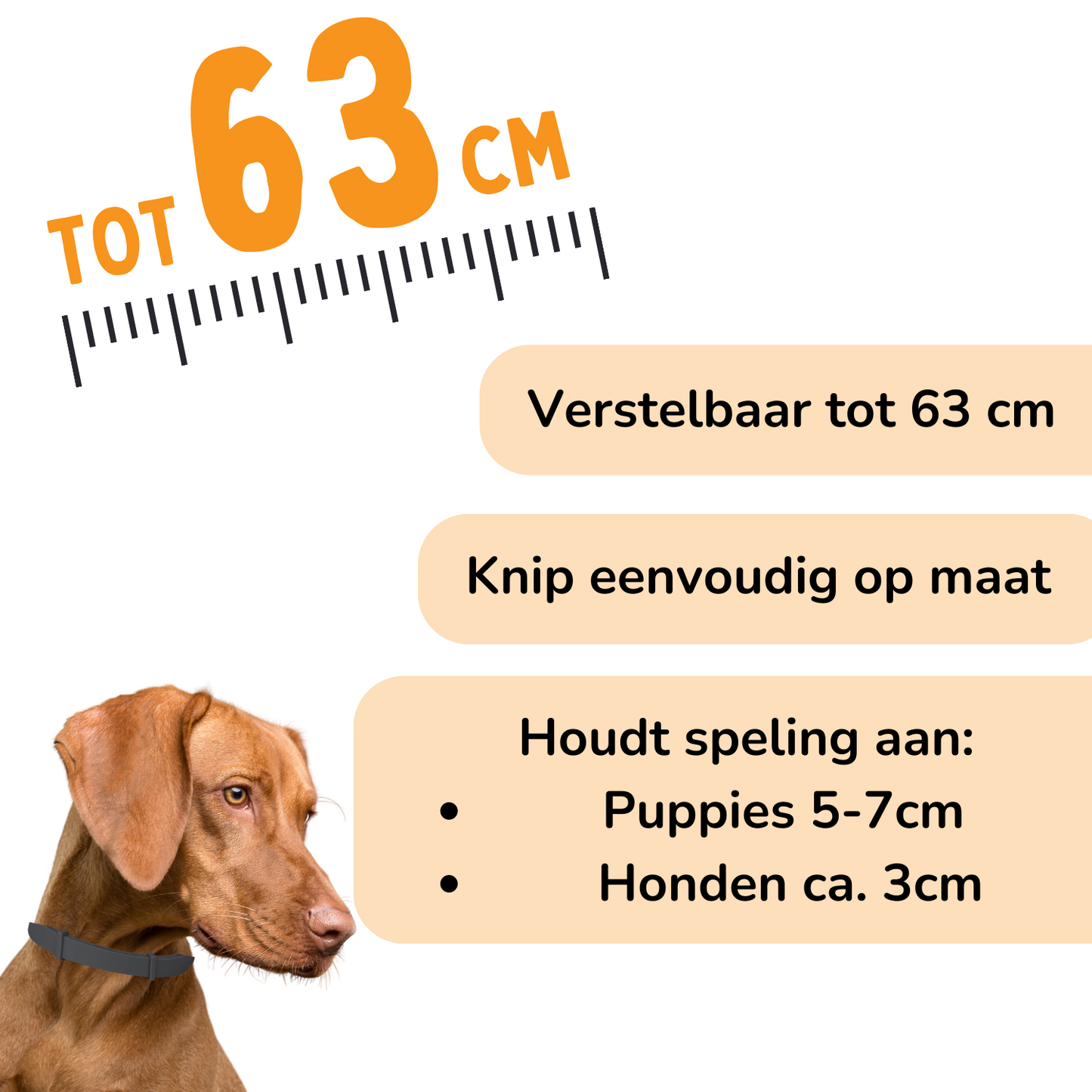 Vlooienband Hond - Effectief Tegen Vlooien En Teken - Zwart